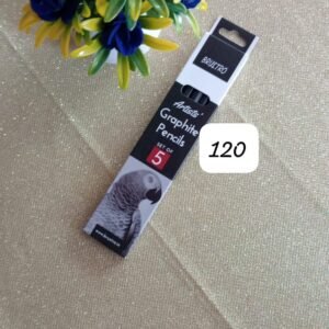 ARTIST GRAPHITE PENCILS SET OF 5